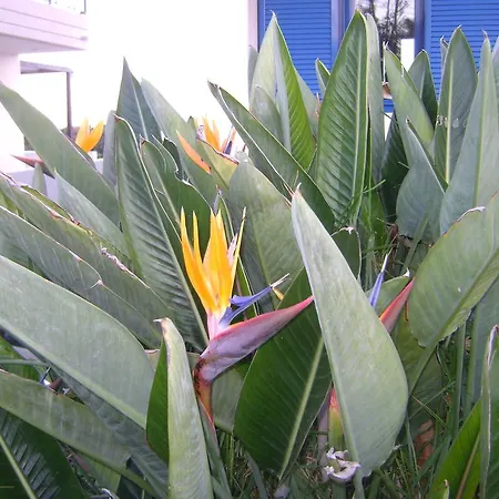 Tatil Evi Dome Gennadi