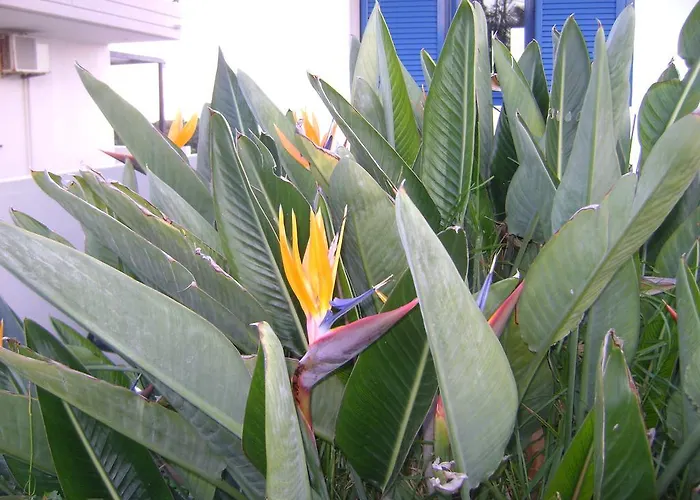 Case de vacanță Dome Gennadi