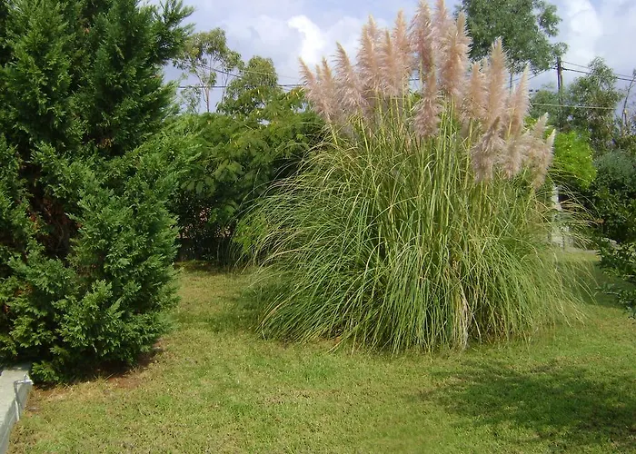 Сasa de vacaciones Dome *